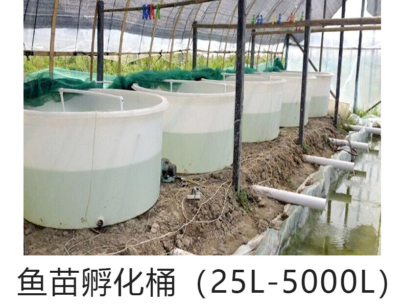 魚苗孵化桶(規(guī)格齊全25L-5···